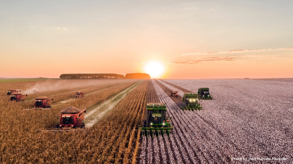 Ukraine poised to export USD 18 billion worth of agricultural products