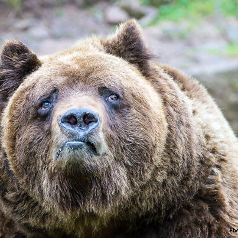 How international sanctions against russia can be expanded