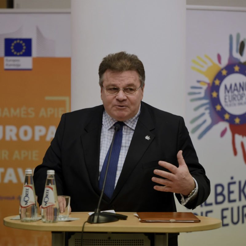 Глава МЗС Литви про видачу паспортів РФ в ОРДЛО: путін впроваджує методи, застосовані в Абхазії та Південній Осетії