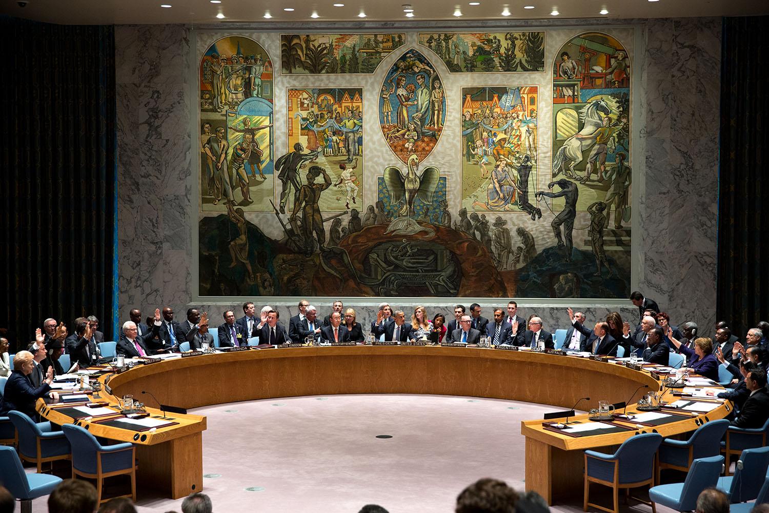 Ukraine and Georgia call for limitation of veto power in UN Security Council 3