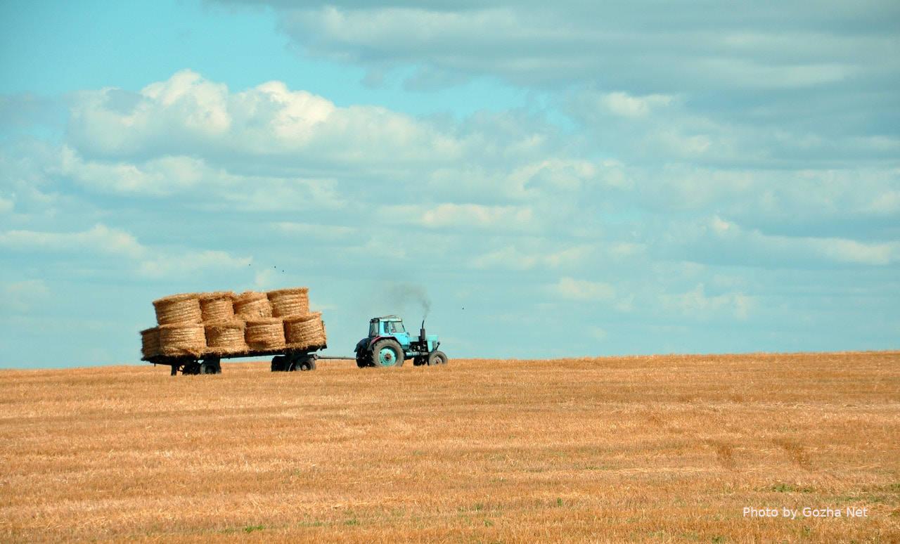 Farmland market may boost Ukraine’s GDP by 1-2 percentage points in 2021 3