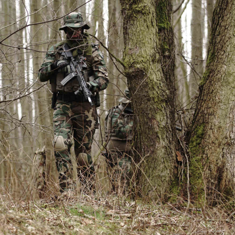 Північний кордон. В Україні створено єгерську бригаду для ведення боїв у лісах