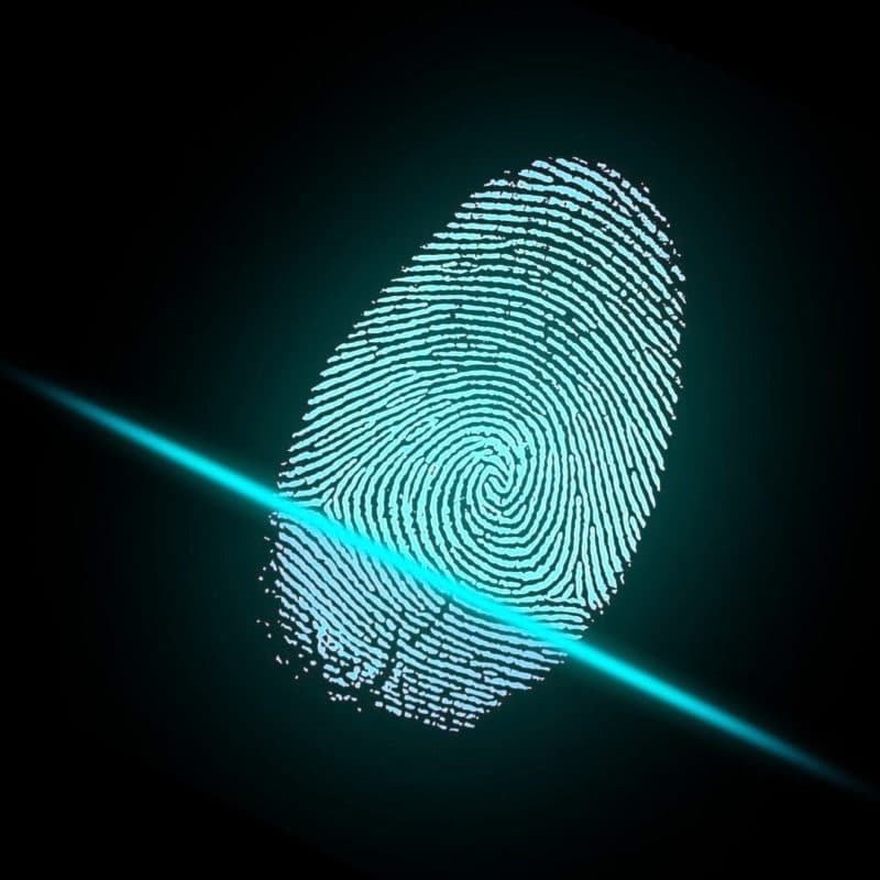У Зеленського побачили технічні і юридичні проблеми у впровадженні "сенсорної кнопки"