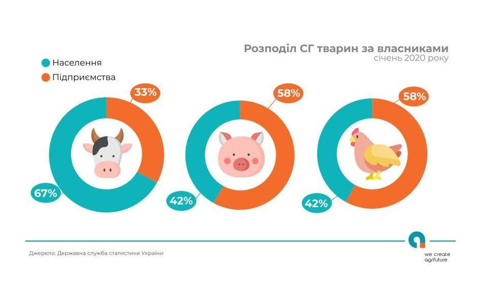 В Україні зростає поголів’я птиці