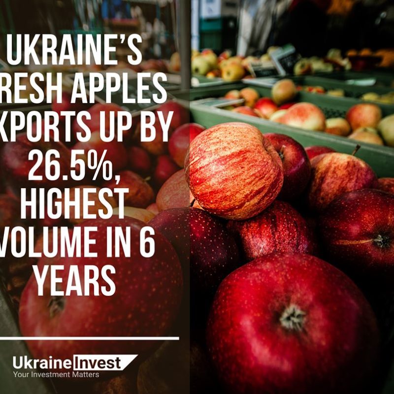 Ukraine’s fresh apple exports in 2019 hit a record volume since 2014