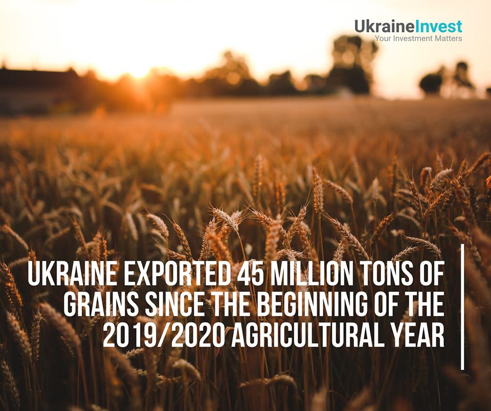 Grain exports have reached 45 million tons since the beginning of the agricultural year 2