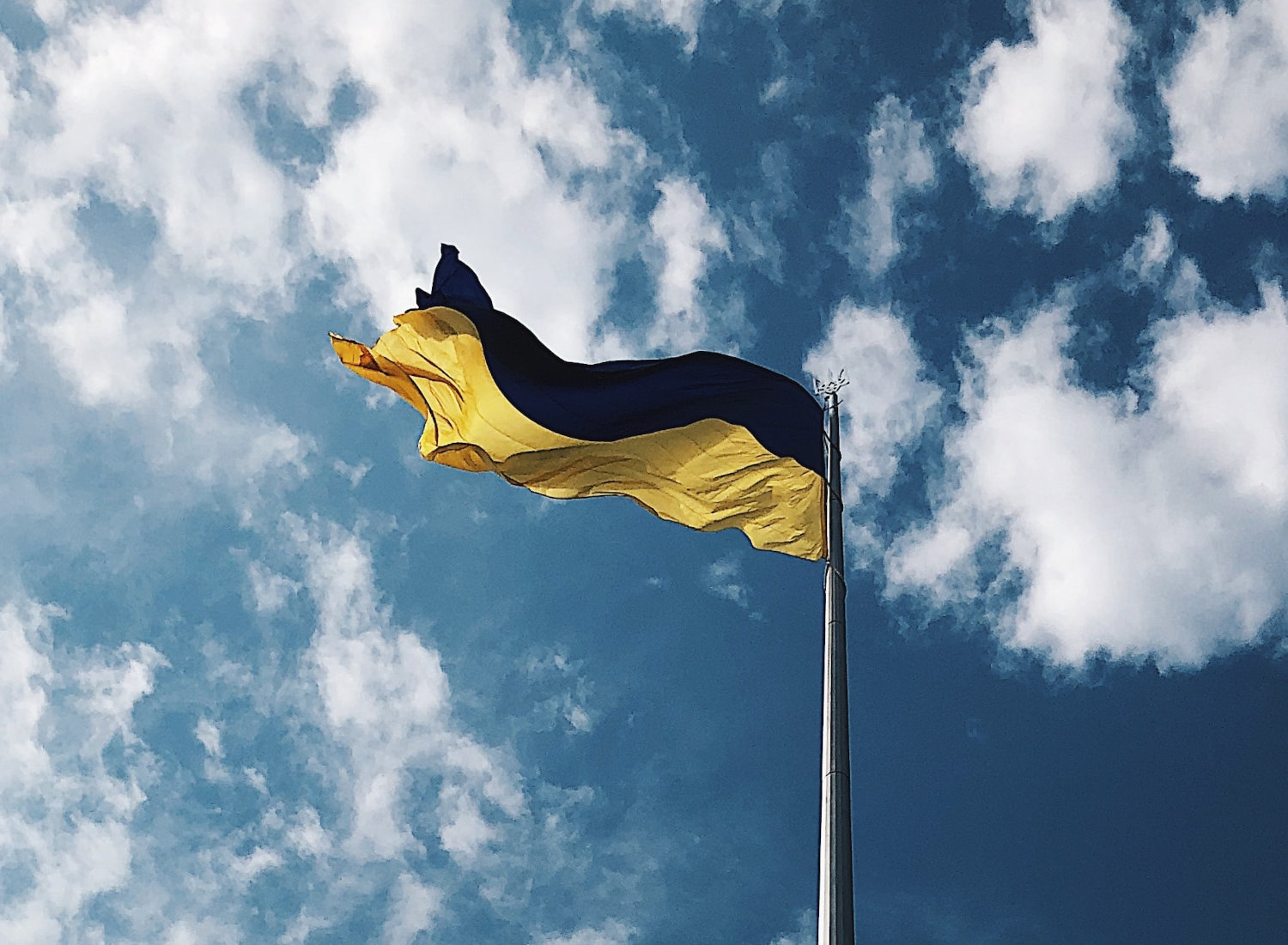 Понад тисячу українців з усього світу вже підтримали відкрите звернення до президента щодо переговорів з росією