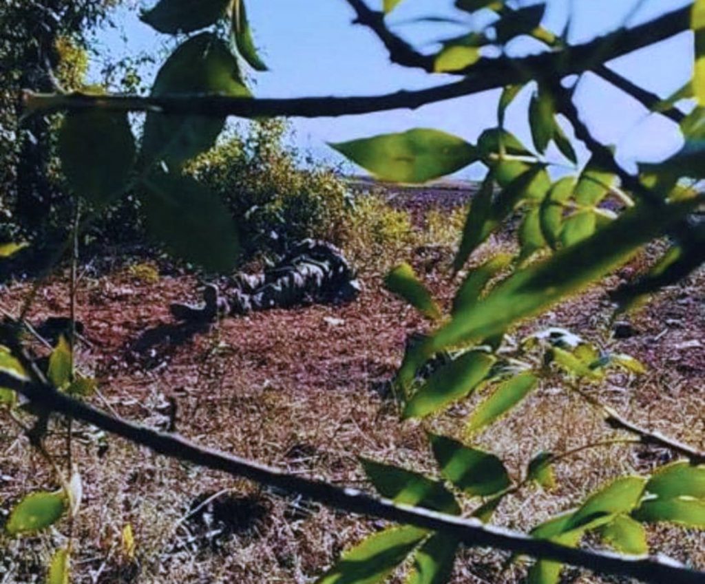 58th Separate Motorized Infantry Brigade eliminated group of Wagner PMC
