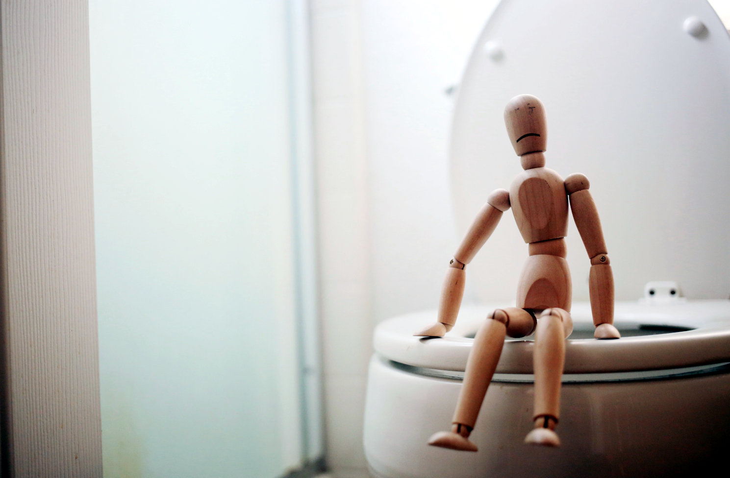 russians banned from buying European toilets