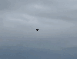 Tractor operator continues working in the field despite Shahed drone explosion nearby [video]