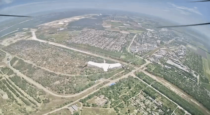 Ukrainian stork outmaneuvered a russian drone attempting to kill it